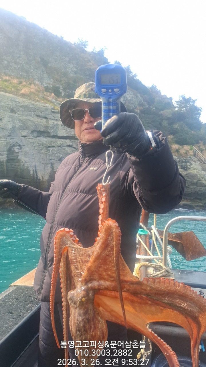 ����ڰ� �ø� �̹���