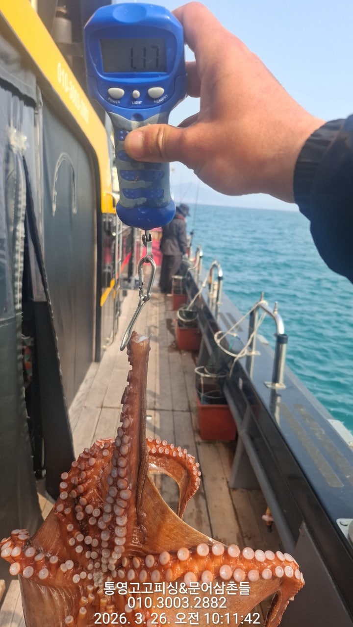 ����ڰ� �ø� �̹���