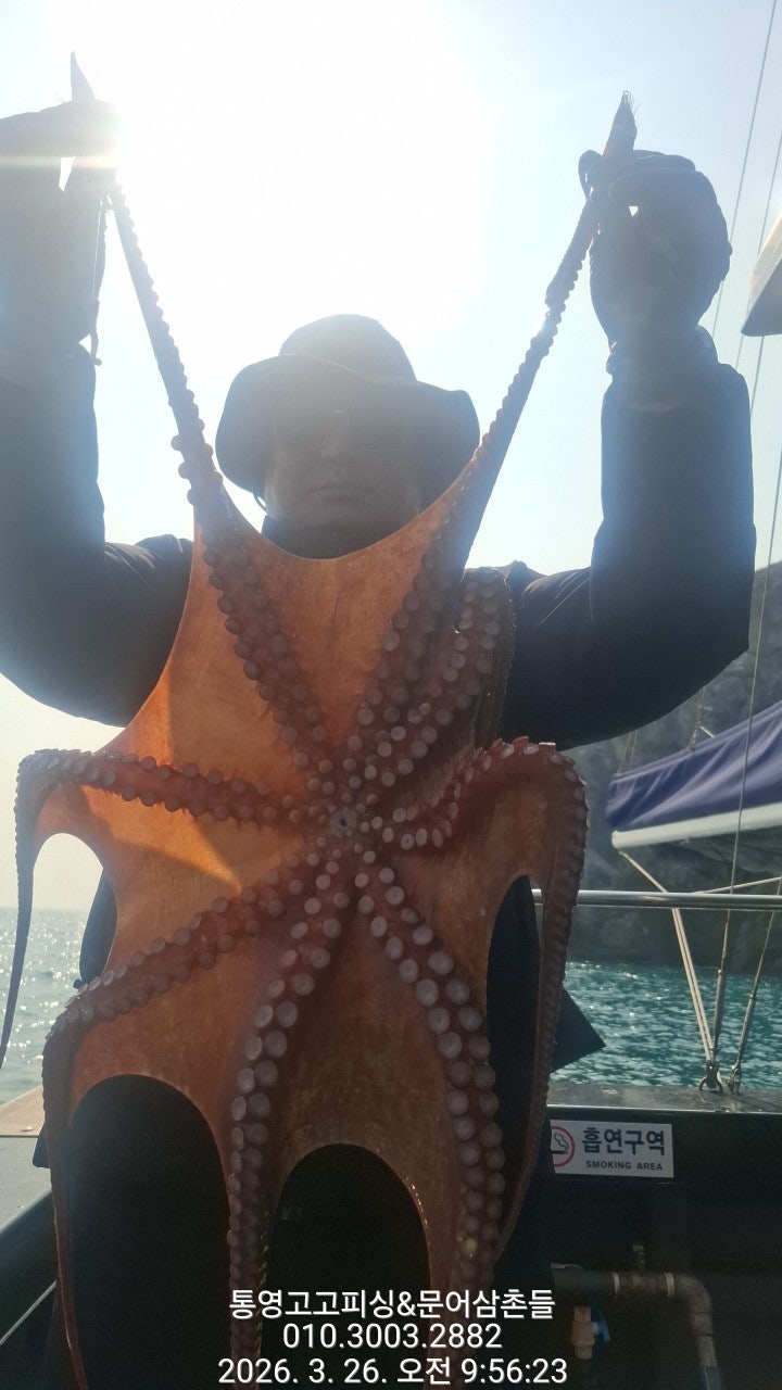 ����ڰ� �ø� �̹���