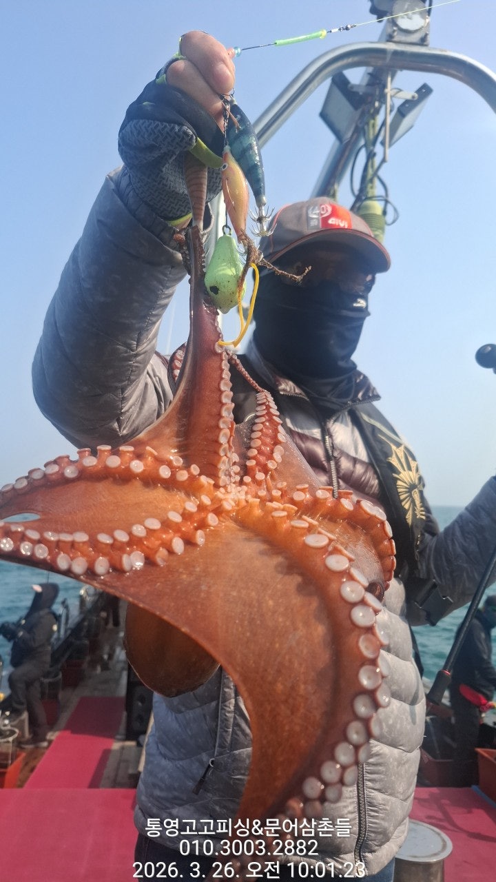 ����ڰ� �ø� �̹���