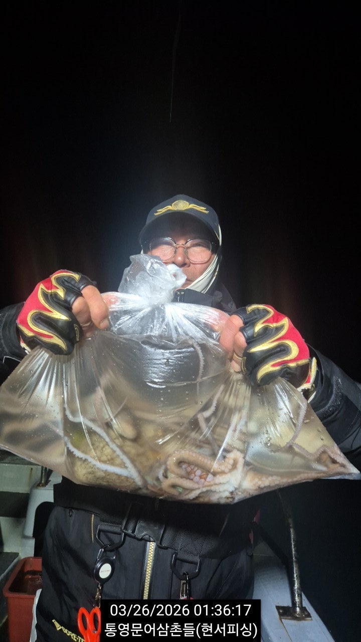 ����ڰ� �ø� �̹���