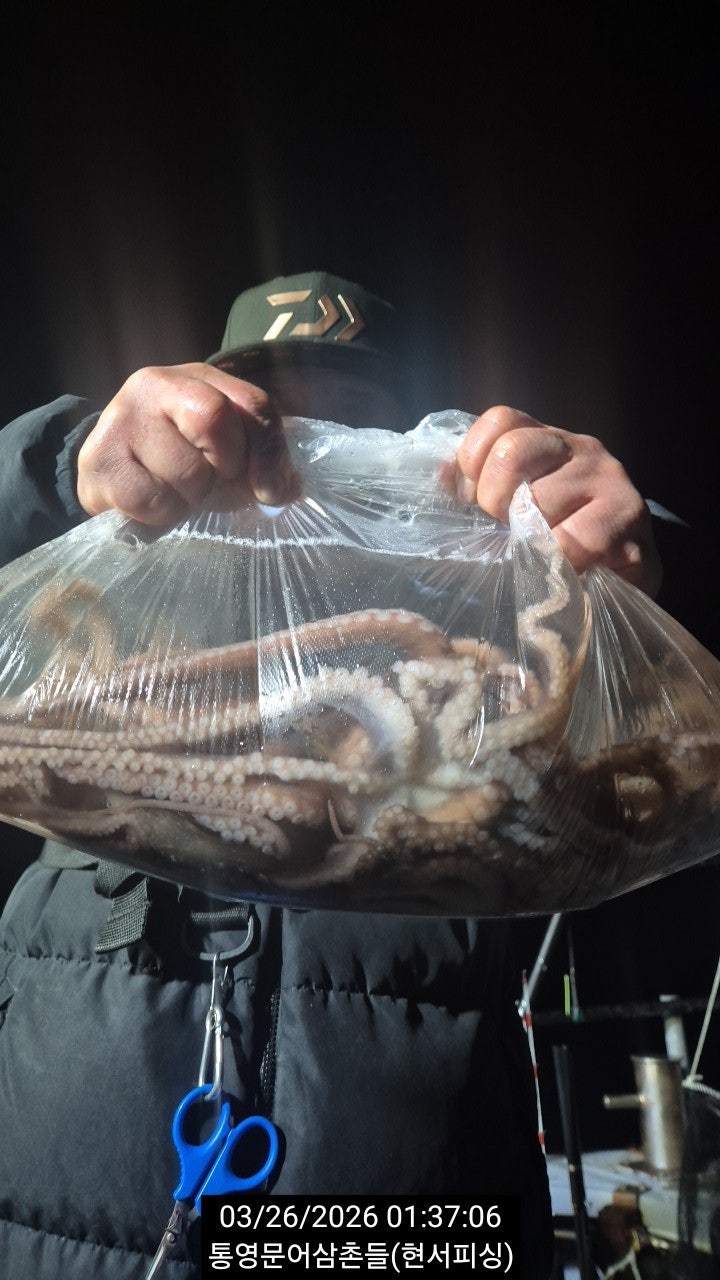 ����ڰ� �ø� �̹���