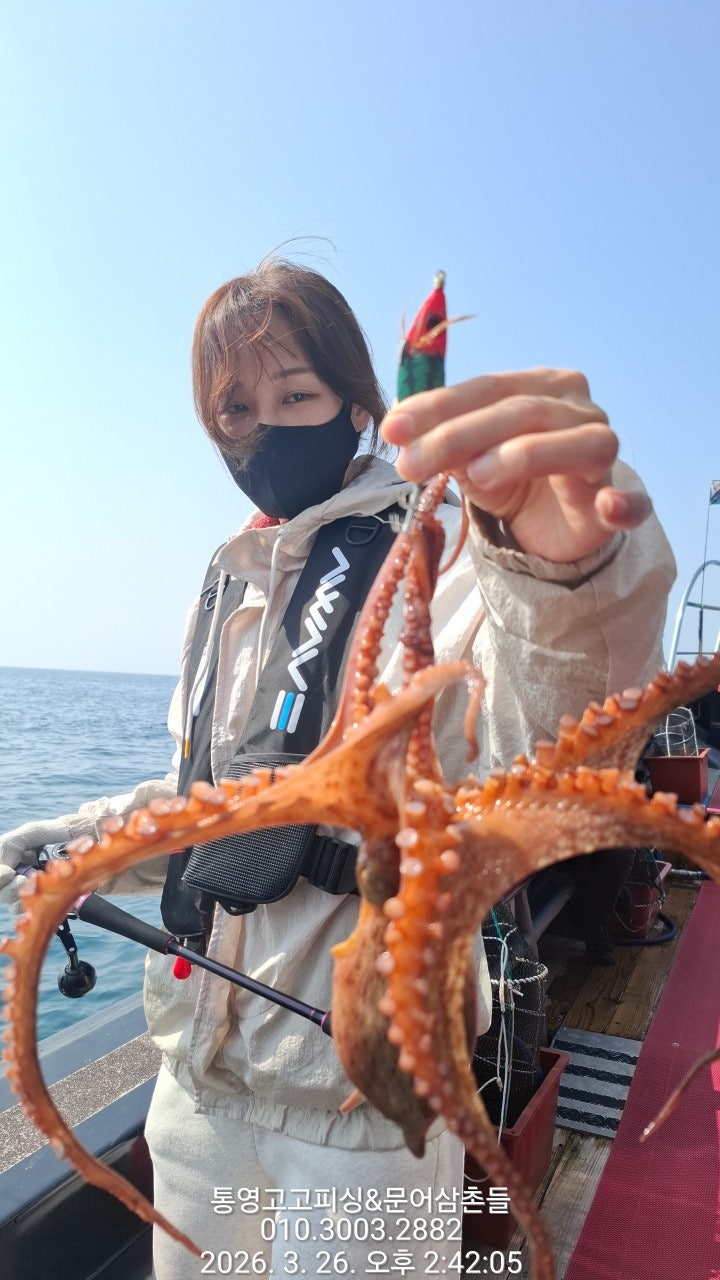 ����ڰ� �ø� �̹���