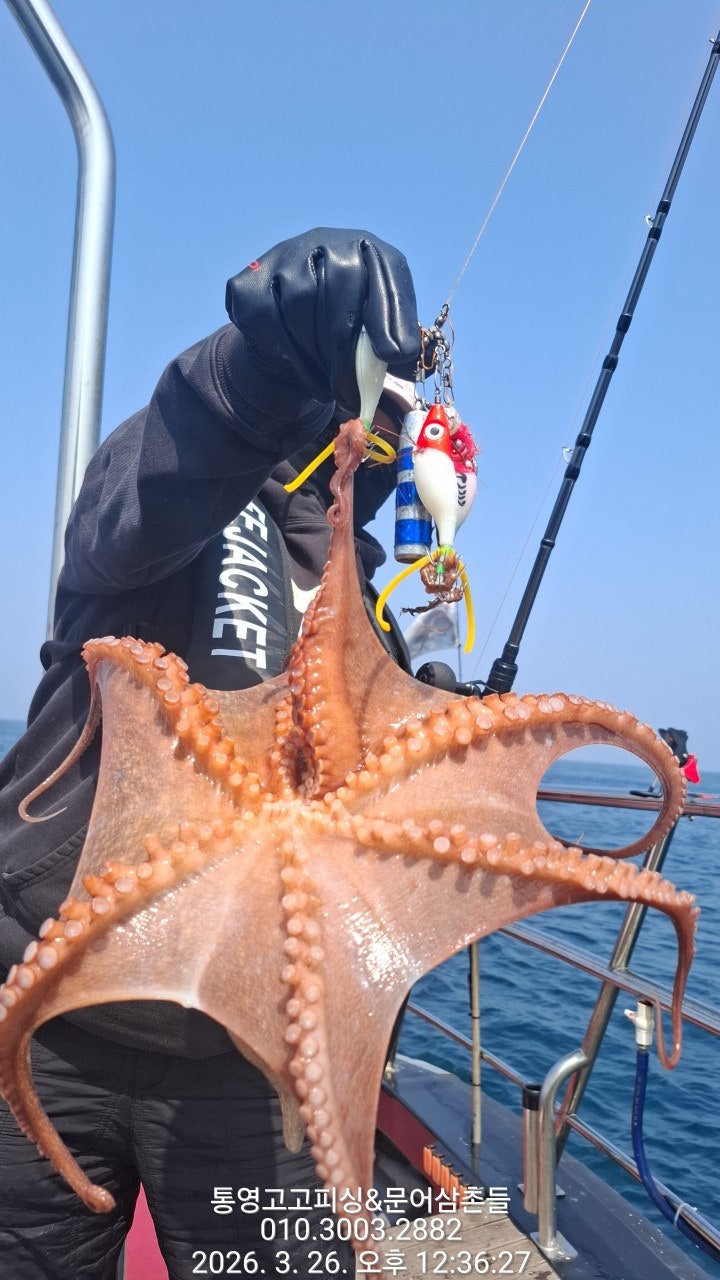 ����ڰ� �ø� �̹���