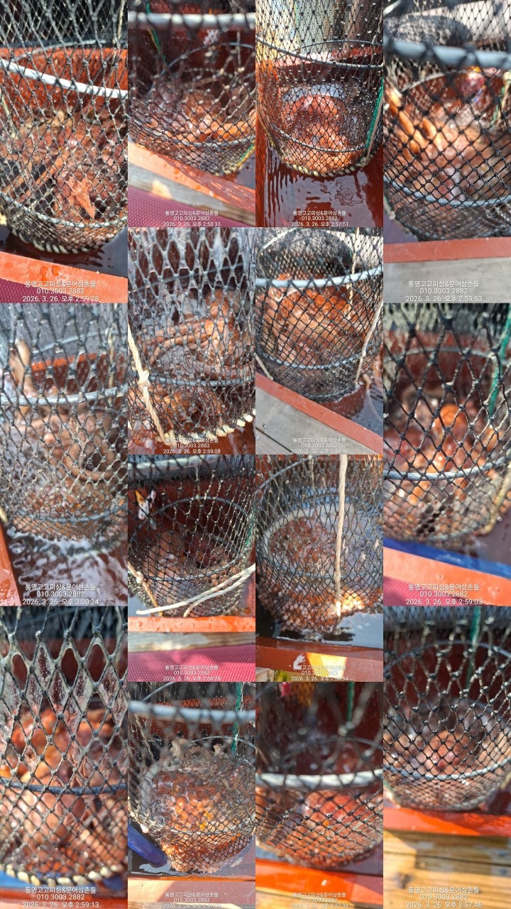 ����ڰ� �ø� �̹���