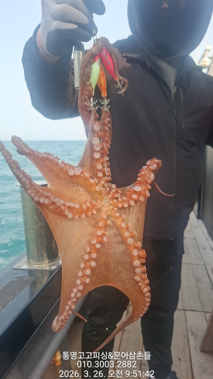 ����ڰ� �ø� �̹���