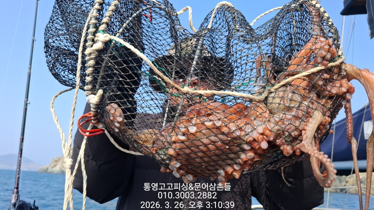 ����ڰ� �ø� �̹���