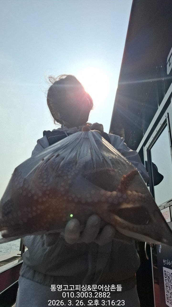 ����ڰ� �ø� �̹���