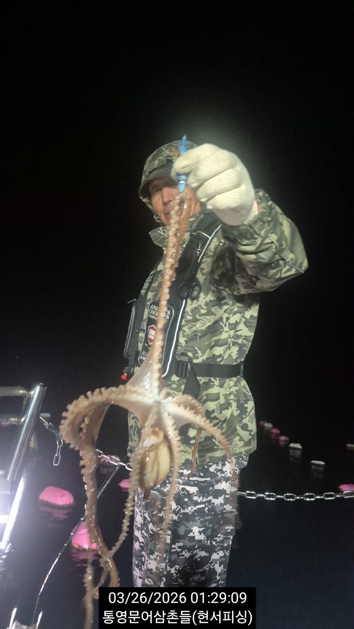 ����ڰ� �ø� �̹���