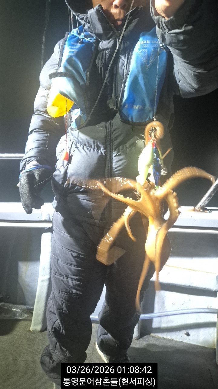 ����ڰ� �ø� �̹���