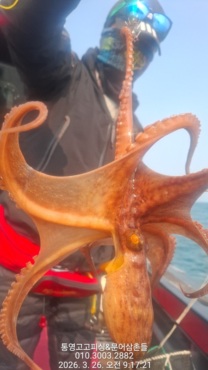 ����ڰ� �ø� �̹���