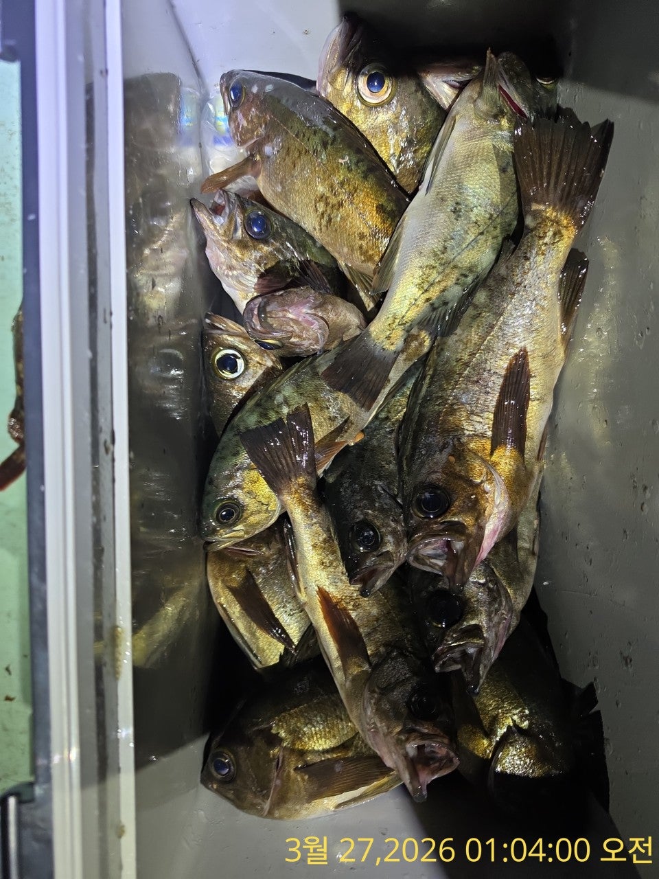 ����ڰ� �ø� �̹���