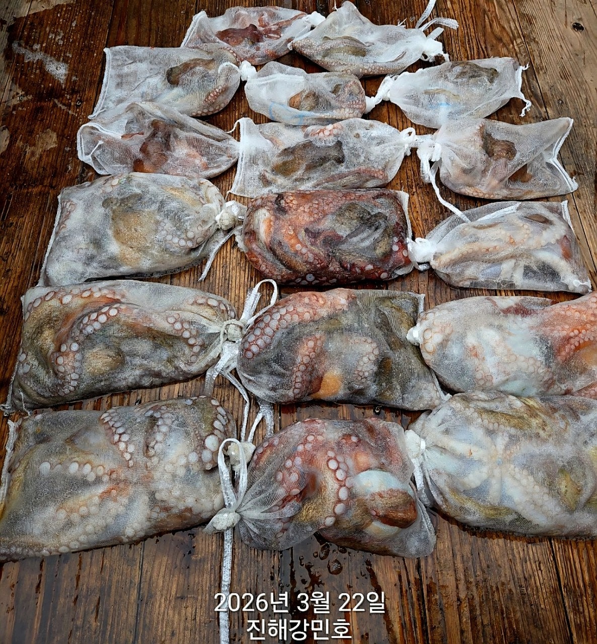 ����ڰ� �ø� �̹���