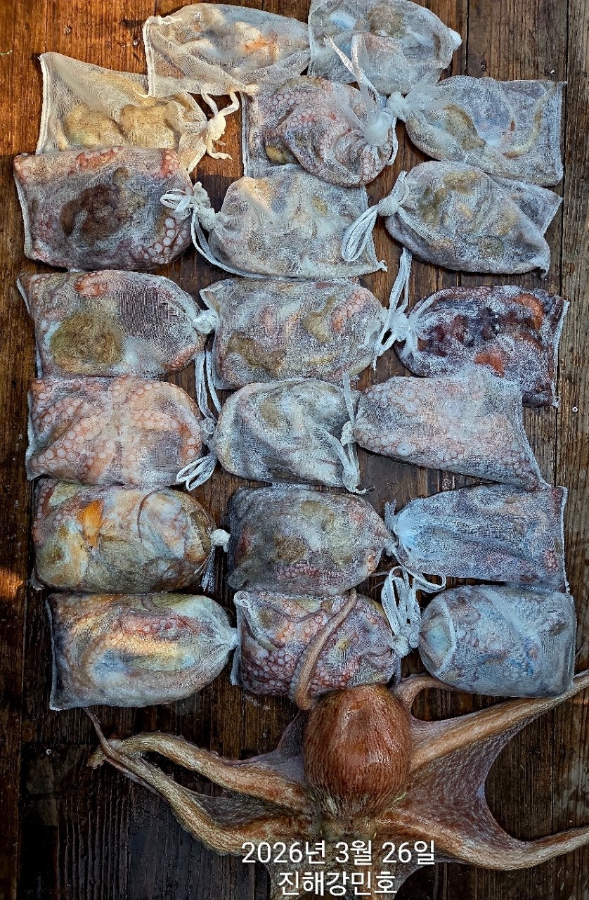 ����ڰ� �ø� �̹���