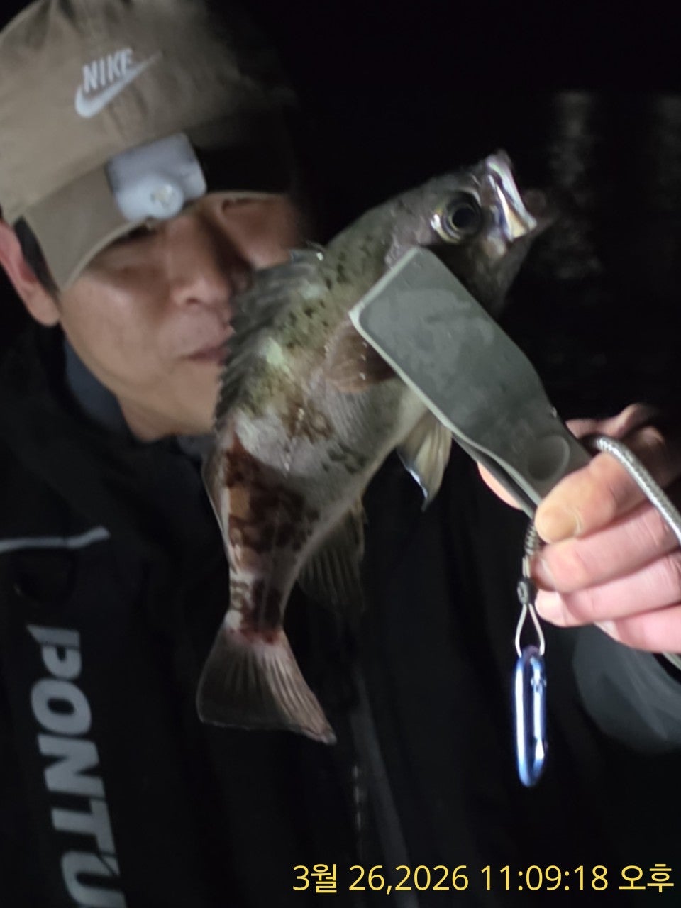 ����ڰ� �ø� �̹���