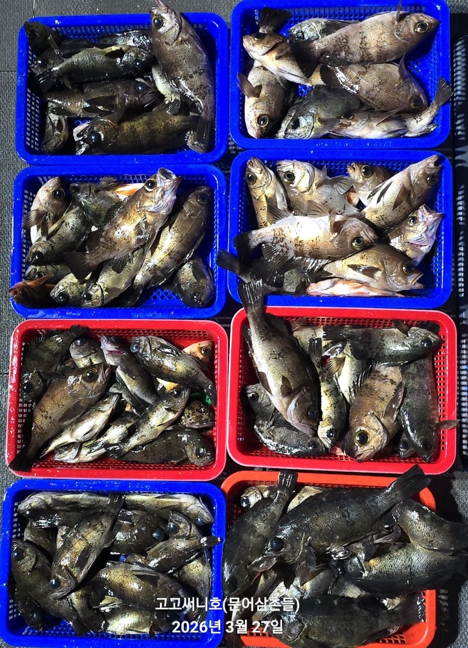 ����ڰ� �ø� �̹���