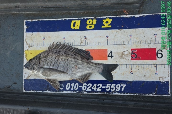 ����ڰ� �ø� �̹���