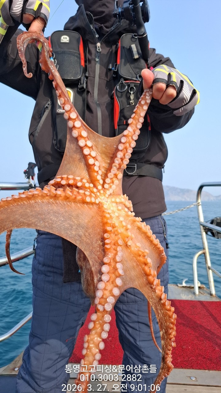 ����ڰ� �ø� �̹���