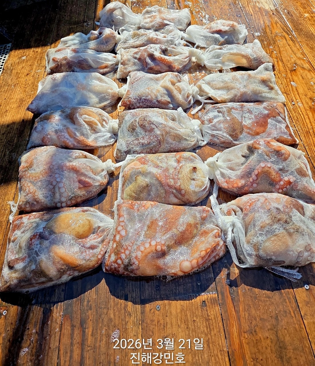 ����ڰ� �ø� �̹���