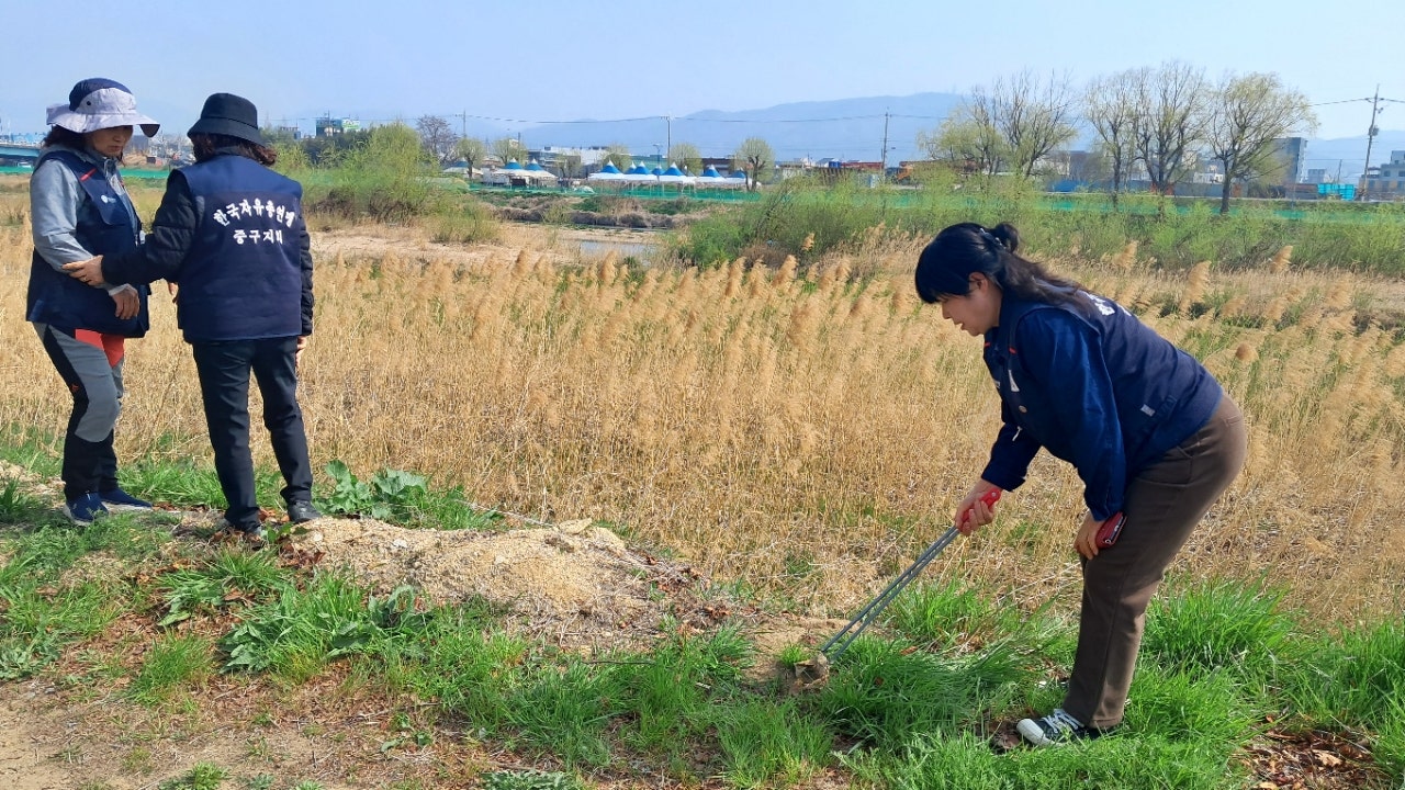 사용자가 올린 이미지