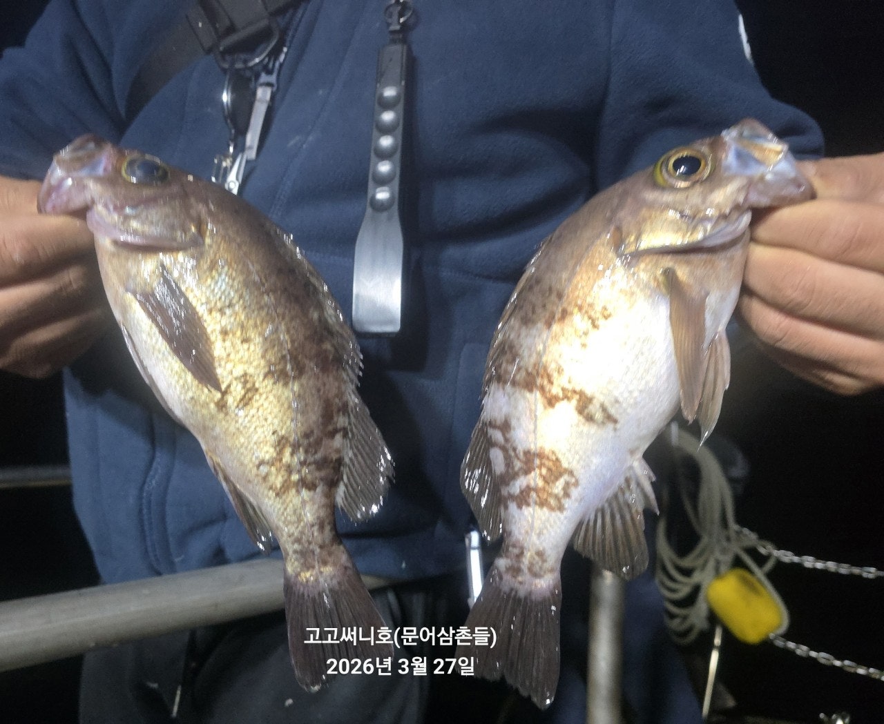 ����ڰ� �ø� �̹���