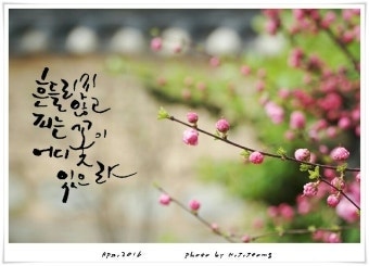 사용자가 올린 이미지