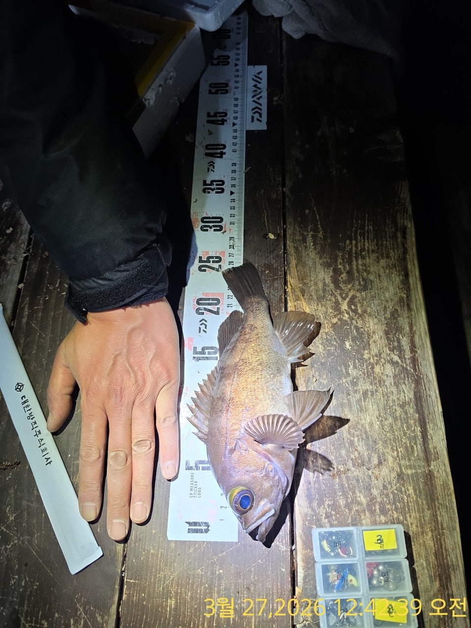 ����ڰ� �ø� �̹���