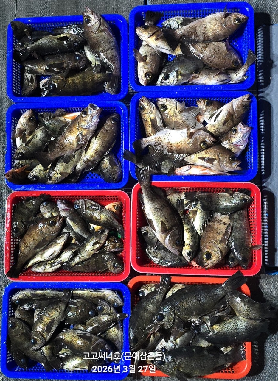 ����ڰ� �ø� �̹���