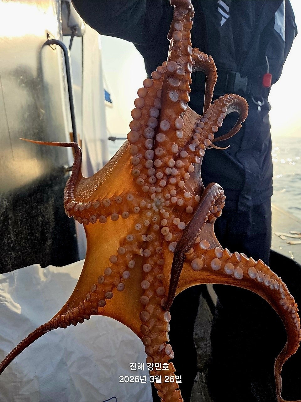 ����ڰ� �ø� �̹���