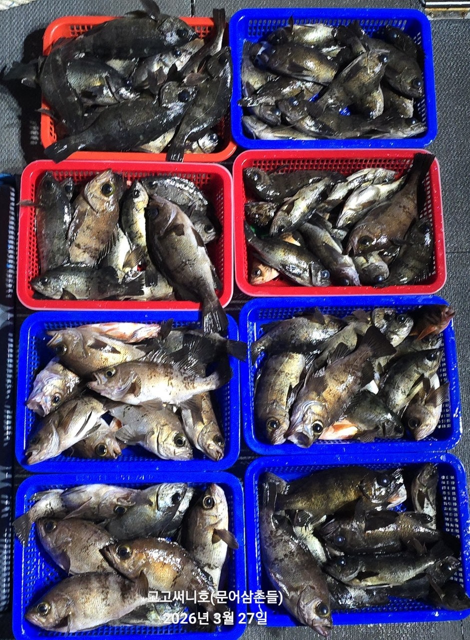 ����ڰ� �ø� �̹���