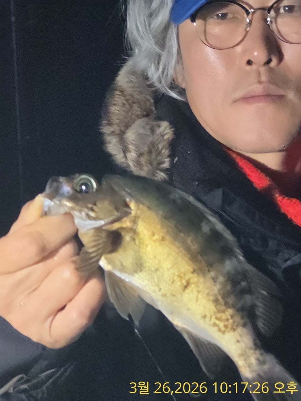 ����ڰ� �ø� �̹���