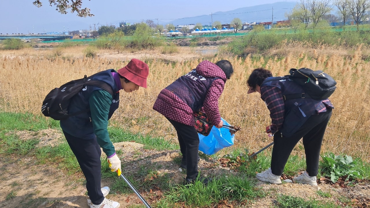 사용자가 올린 이미지