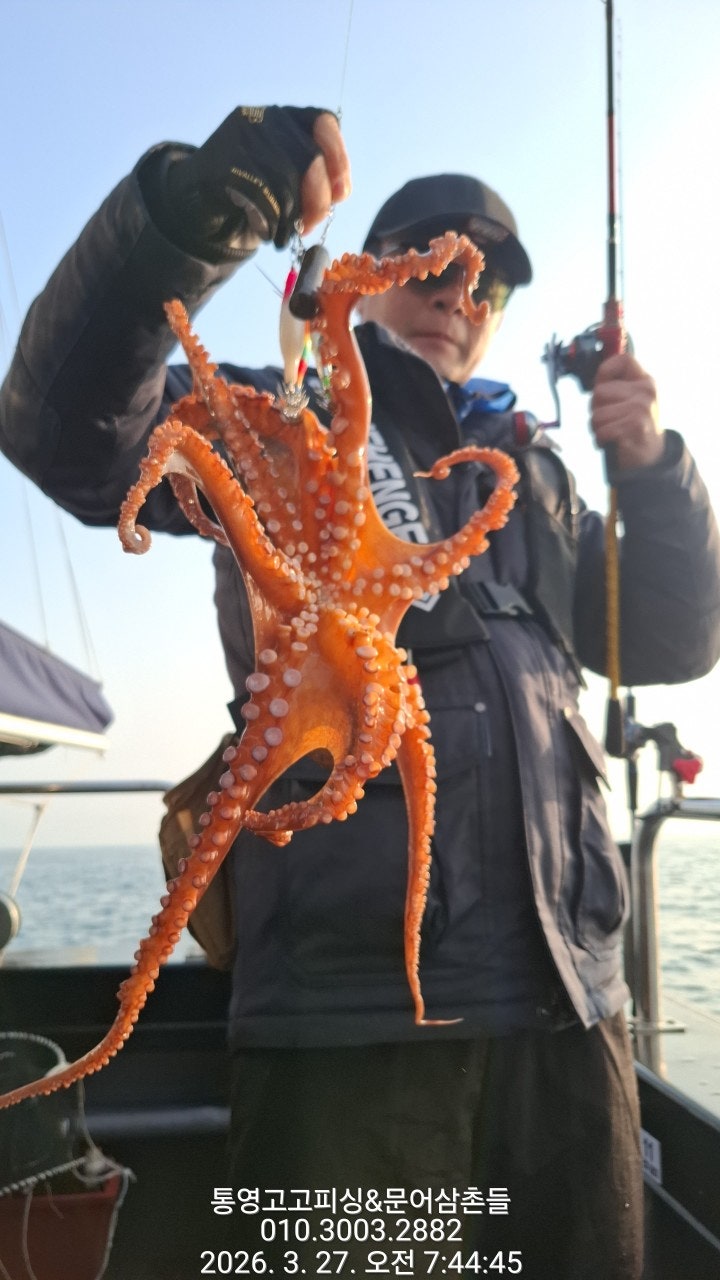 ����ڰ� �ø� �̹���