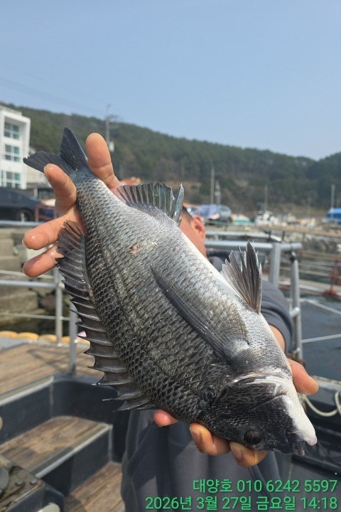 ����ڰ� �ø� �̹���