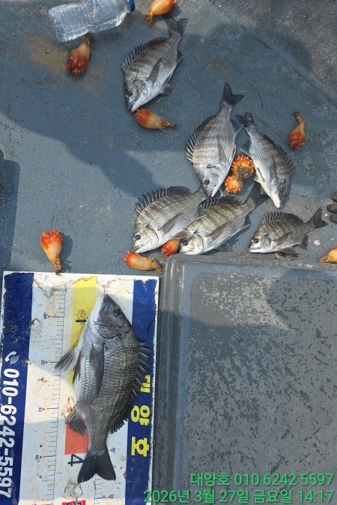 ����ڰ� �ø� �̹���