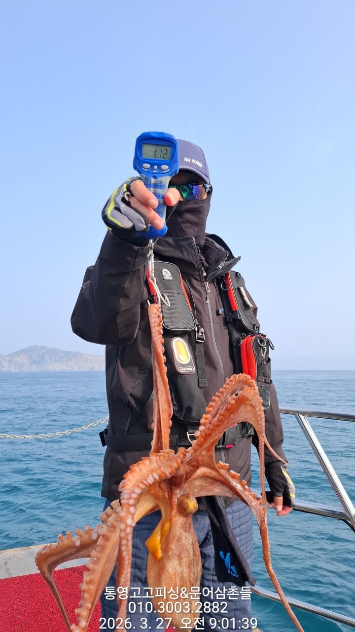 ����ڰ� �ø� �̹���