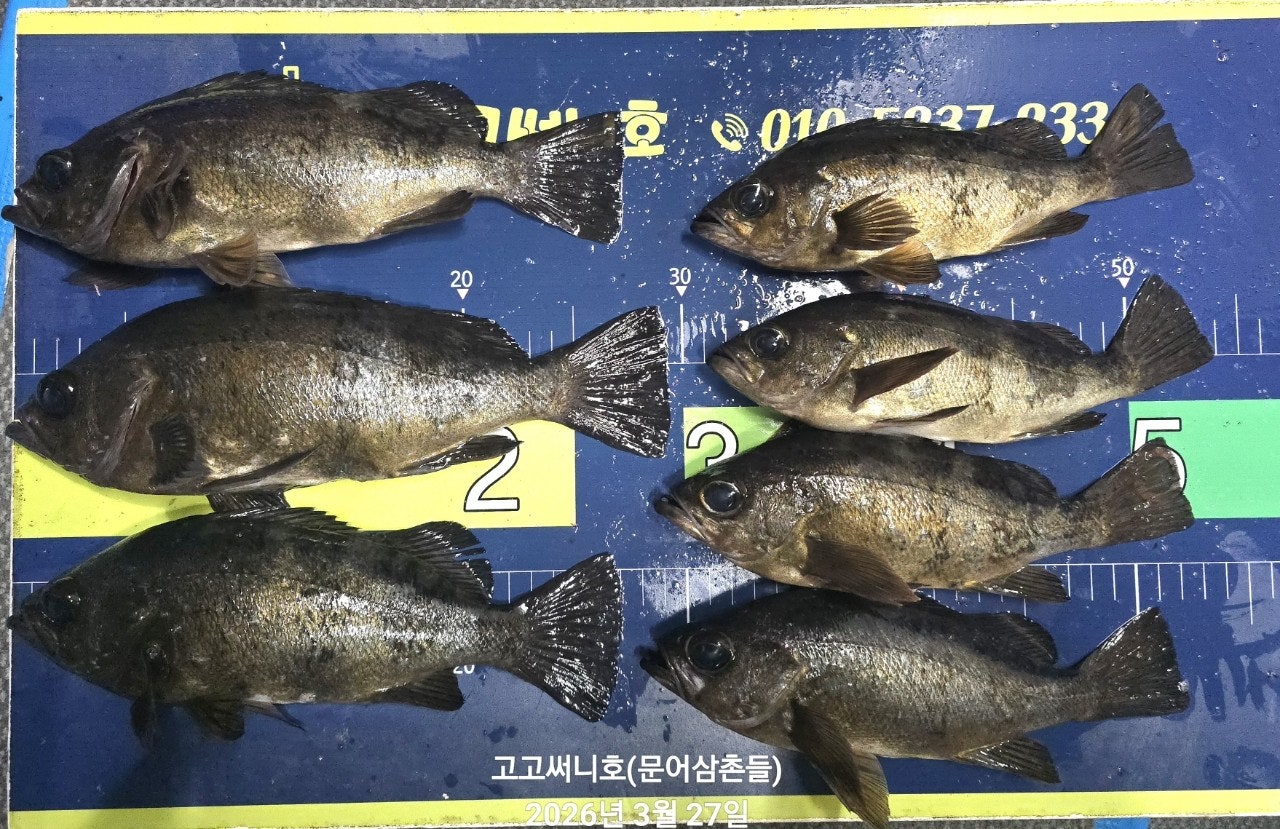 ����ڰ� �ø� �̹���