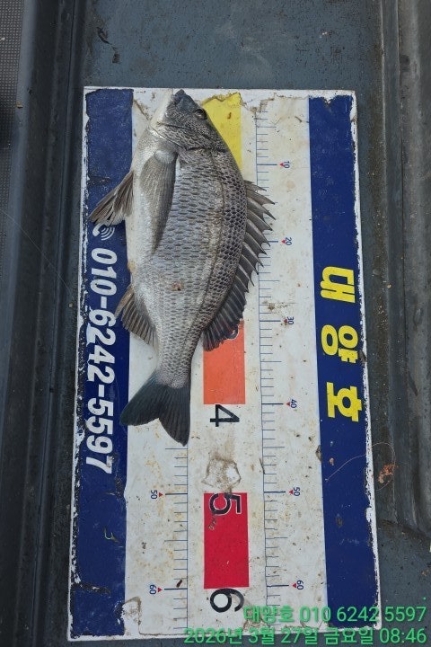 ����ڰ� �ø� �̹���