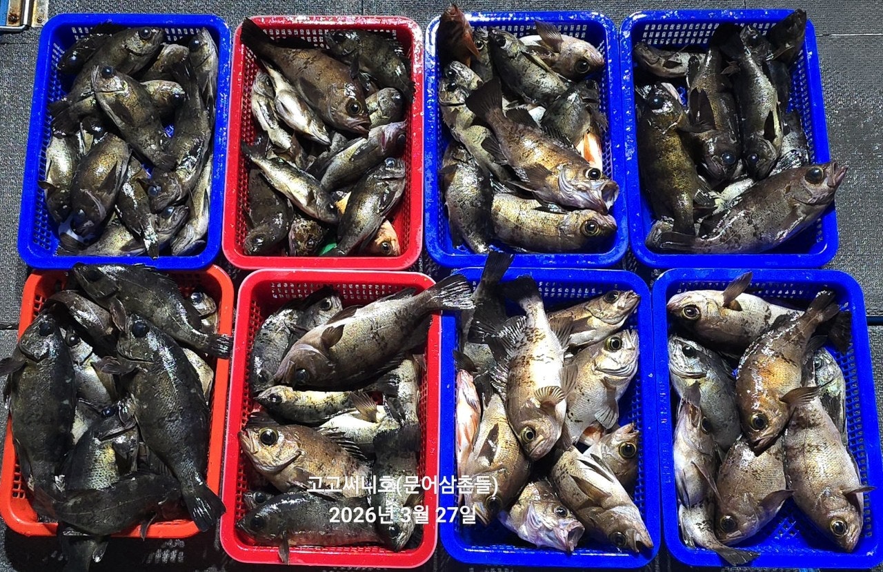 ����ڰ� �ø� �̹���