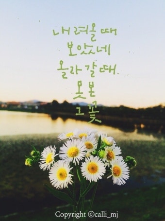 사용자가 올린 이미지