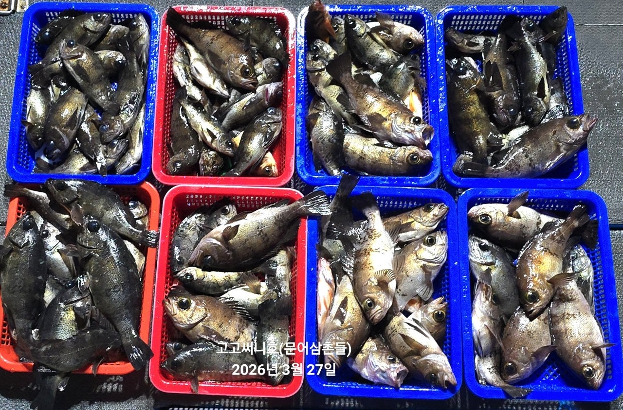 ����ڰ� �ø� �̹���