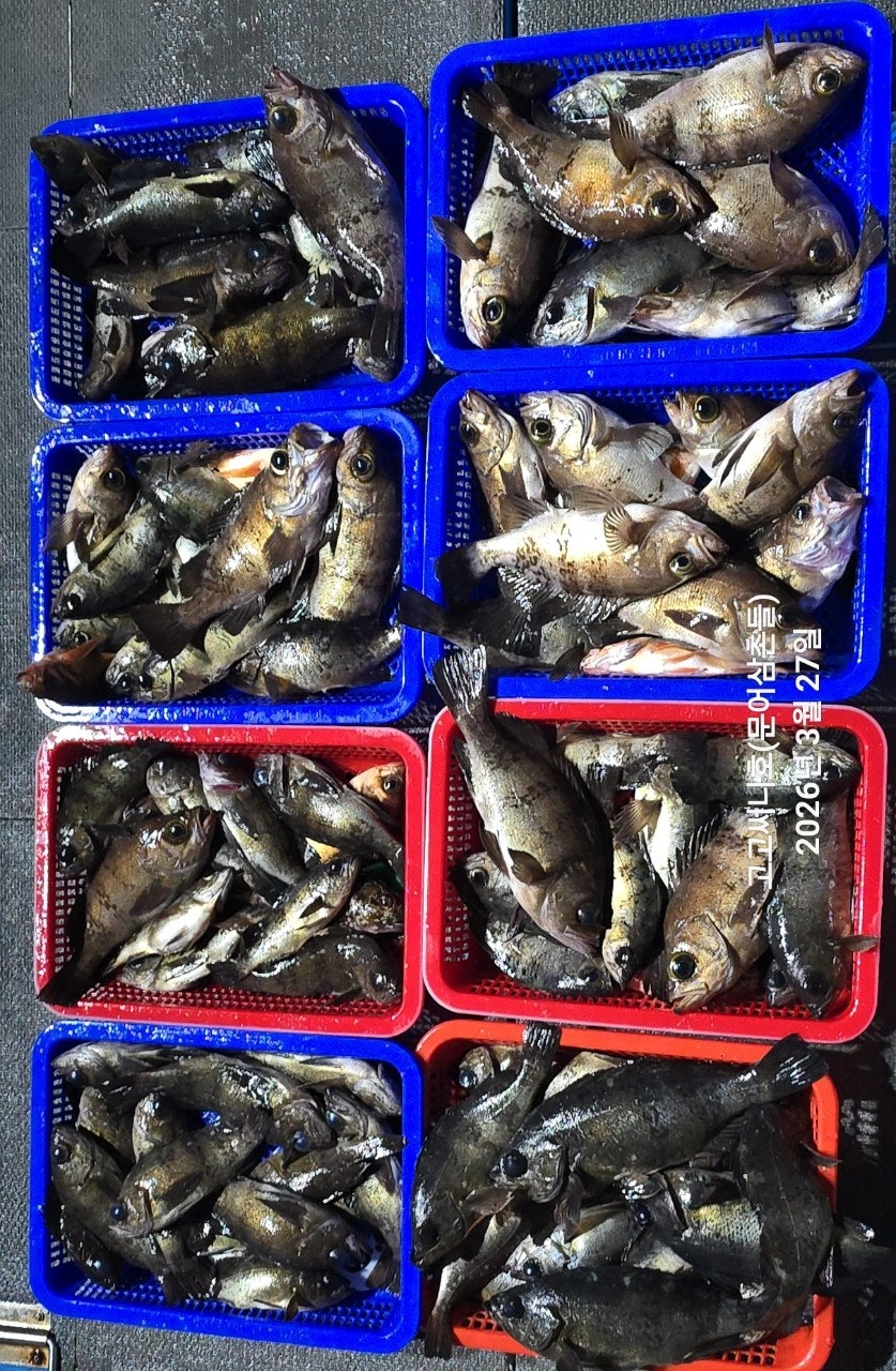 ����ڰ� �ø� �̹���