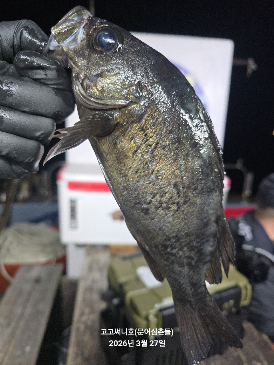 ����ڰ� �ø� �̹���