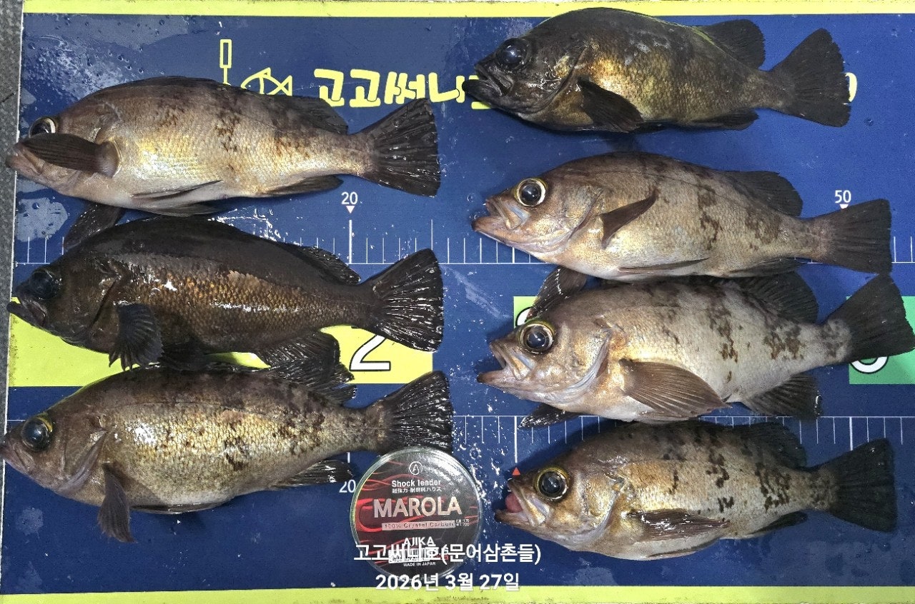 ����ڰ� �ø� �̹���