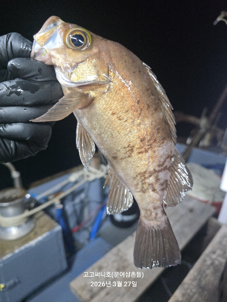 ����ڰ� �ø� �̹���