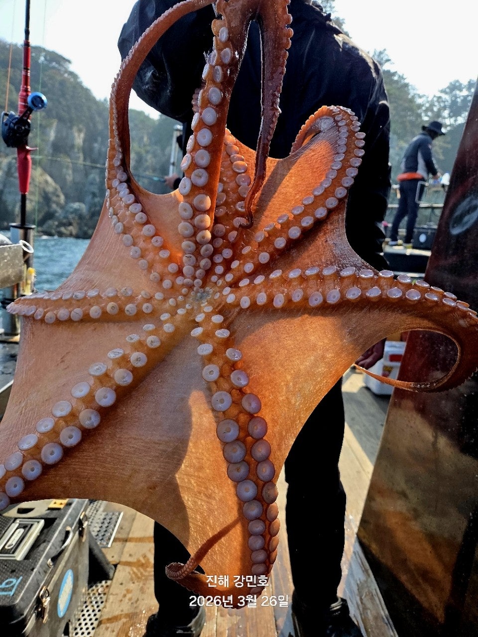 ����ڰ� �ø� �̹���