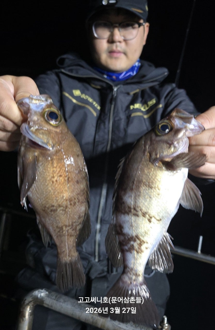 ����ڰ� �ø� �̹���