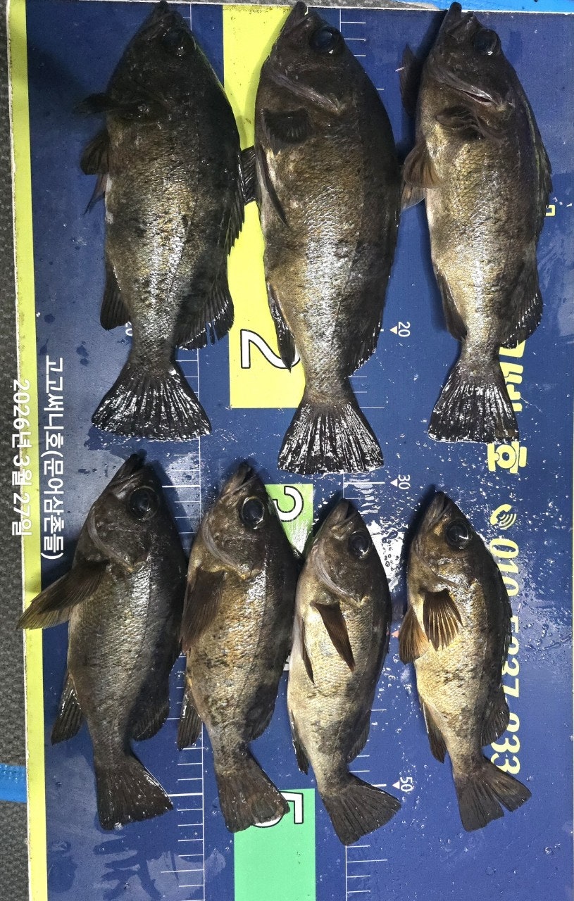 ����ڰ� �ø� �̹���