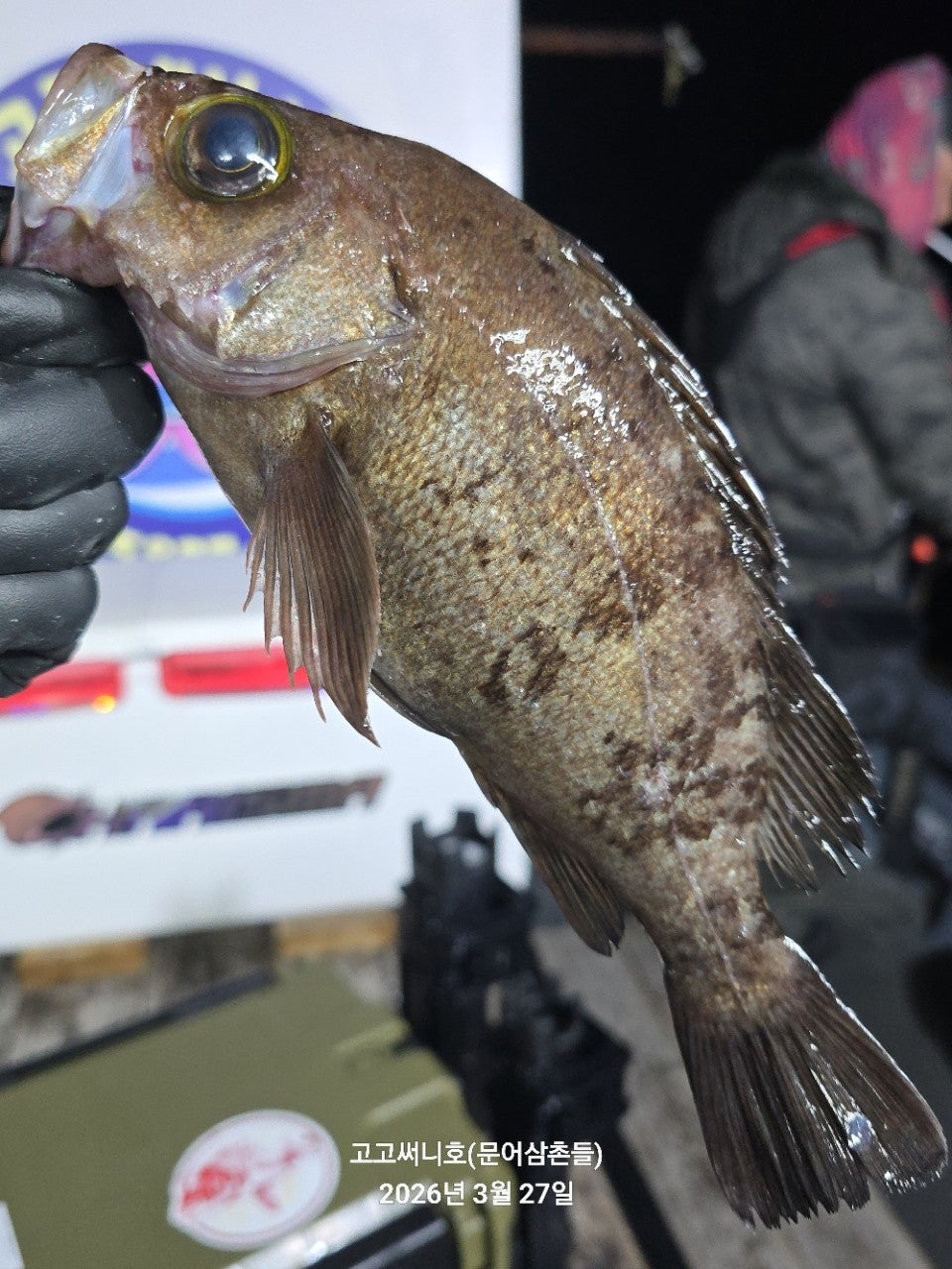 ����ڰ� �ø� �̹���