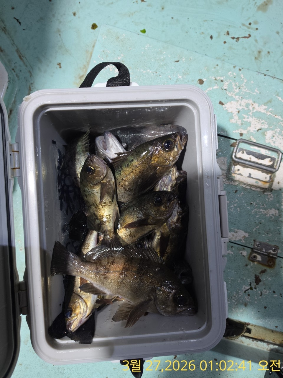 ����ڰ� �ø� �̹���